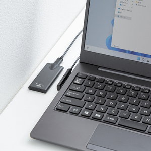 サンワサプライ Type-C変換アダプタ(CtoC・L字縦挿し・40Gbps・240W) AD-USB36CCFLT-イメージ4