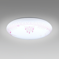 HotaluX LEDシーリングライト HLDZ08424SG