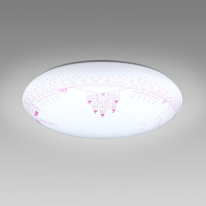 HotaluX LEDシーリングライト HLDZ08424SG-イメージ1