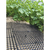 トラスコ 猫よけシート　２３５Ｘ３４９Ｘ１８　１０枚入り TCPS-10A-イメージ2