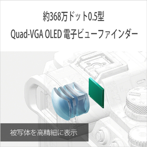 SONY コンパクトデジタルカメラ Cyber-shot DSC-RX10M5-イメージ13