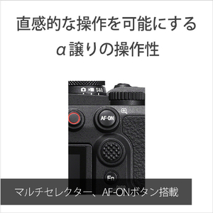 SONY コンパクトデジタルカメラ Cyber-shot DSC-RX10M5-イメージ16