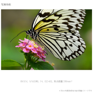 SONY コンパクトデジタルカメラ Cyber-shot DSC-RX10M5-イメージ19
