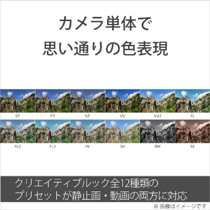 SONY コンパクトデジタルカメラ Cyber-shot DSC-RX10M5-イメージ8