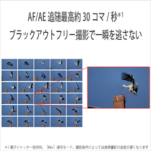SONY コンパクトデジタルカメラ Cyber-shot DSC-RX10M5-イメージ9