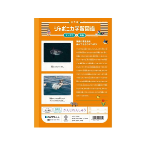 ショウワノート ジャポニカ学習帳 かんじれんしゅう 50字 FCE854U-JL-48-イメージ2