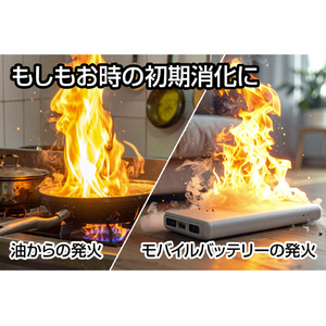ジェントス 初期消火用シート Flame Breaker GFB-01-イメージ4