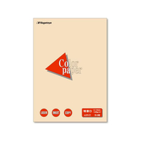 長門屋 カラーペーパー特厚口 A3 アイボリー 50枚 FCE853M-ﾅ-1415