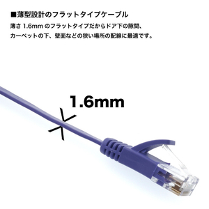 ホーリック LANケーブル UTP カテゴリー6A フラット(2m) パープル LC20-506FB-イメージ4