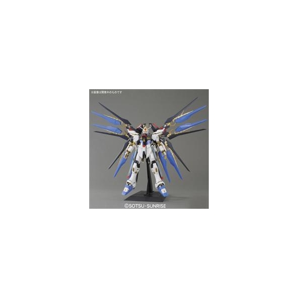 Pgストライクフリーダムガンダム補強 Yahoo!オークション - PG 1