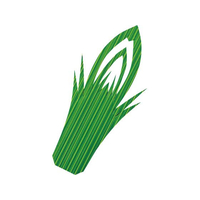 江部松商事 生バラン 松型1号 1000枚入 FC551LW-7866000