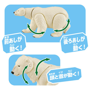 タカラトミー アニア AL-35 ホッキョクグマ(水に浮くVer．) ホワイト ｱﾆｱAL35ﾎﾂｷﾖｸｸﾞﾏﾐｽﾞﾆｳｸVER-イメージ10