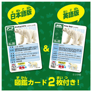 タカラトミー アニア AL-35 ホッキョクグマ(水に浮くVer．) ホワイト ｱﾆｱAL35ﾎﾂｷﾖｸｸﾞﾏﾐｽﾞﾆｳｸVER-イメージ12