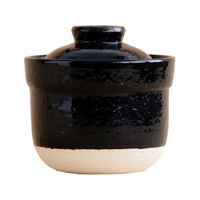 プライムダイレクト 伊賀ノ匠 伊賀焼 レンジ土鍋 FCE491K-IG01