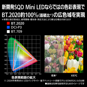 パナソニック 75V型 4K液晶(MiniLED) VIERA TV-75X97C-イメージ6