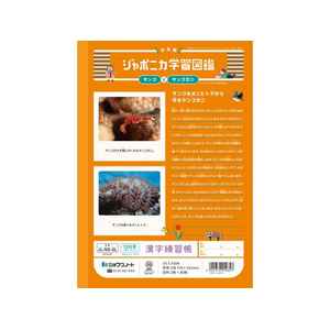 ショウワノート ジャポニカ学習帳 漢字練習 120字 FCE858U-JL-50-2L-イメージ2