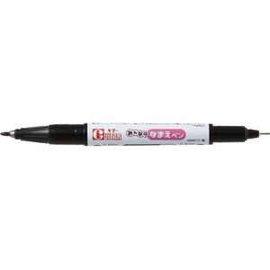寺西化学工業 ギターみんなのなまえペン FCD594G-GRNP-T1-イメージ2