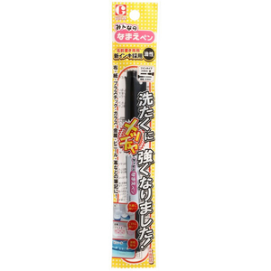 寺西化学工業 ギターみんなのなまえペン FCD594G-GRNP-T1-イメージ3