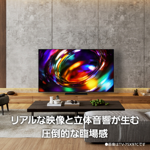 パナソニック 65V型 4K液晶(MiniLED) VIERA TV-65X97C-イメージ19