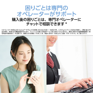 NEC 10．1型Androidタブレット LAVIE Tab Lite ポーラブルー PC-TL103KAL-イメージ5