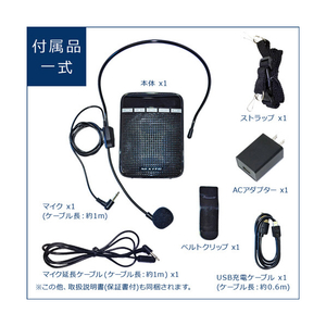 FRC ポータブル拡声器(ワイドFMラジオ機能搭載、microSDカード、USBメモリ対応) NEXTEC NX-BV10E-イメージ13