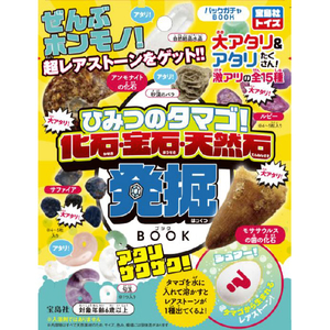 TMG たまご　卵のような石？宝石？鉱石？　詳細不明 宝島社 ﾋﾐﾂﾉﾀﾏｺﾞｶｾｷ・ﾎｳｾｷ・ｺｳｾｷﾊﾂｸﾂ ひみつのタマゴ! 化石・宝石