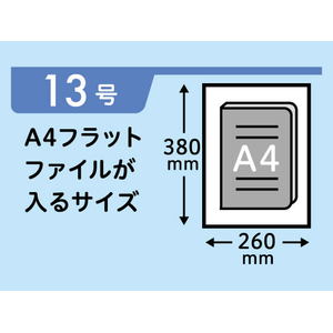 Forestway 規格袋 LDPE 13号 透明 100枚×30袋 FC931NS-FRW201267-イメージ2
