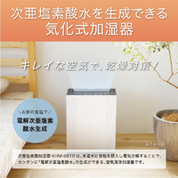 [新品未使用]［保証書］KOIZUMI 加湿器 KHM-6010/W 6L 除菌 コイズミ KHM6010 次亜塩素酸加湿器 ホワイト|エディオン公式通販