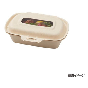 パックスタイル バガス容器 BBランチN 180-120 ラミ 50枚 FC338SH-00657841-イメージ3
