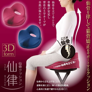 アルファックス 仙骨クッション 仙律(せんりつ) FCE634M-621614-イメージ2