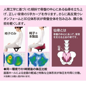 アルファックス 仙骨クッション 仙律(せんりつ) FCE634M-621614-イメージ4