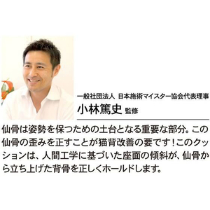 アルファックス 仙骨クッション 仙律(せんりつ) FCE634M-621614-イメージ5