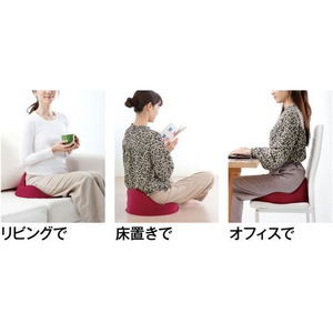アルファックス 仙骨クッション 仙律(せんりつ) FCE634M-621614-イメージ6