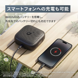 Anker Soundcore Boom Go 3i ピンク D5103N50-イメージ14