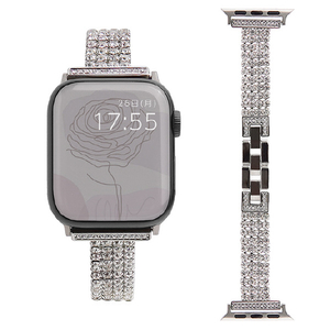 GAACAL Apple Watch Series 1-8/SE1-2/Ultra [42/44/45/49mm]用メタルバンド シルバー W00133SB-イメージ1