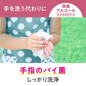 クレシア スコッティ ウェットティシュー 消毒・アルコールタイプ 携帯 30枚 FC92739-イメージ2