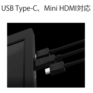 JAPANNEXT 13．3型液晶ディスプレイ ブラック JN-TRI-IPS133FHDR-イメージ4