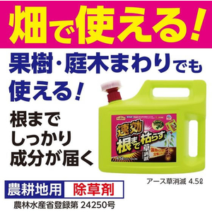 アース製薬 アースガーデン アース草消滅 4.5L 除草剤 FCT9454-イメージ2