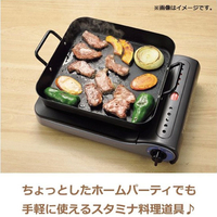 たた商品 パール金属 HB4514ﾃﾂｾｲｶｸｶﾞﾀﾌﾟﾚ-ﾄ 鉄製角型プレート(25×25cm