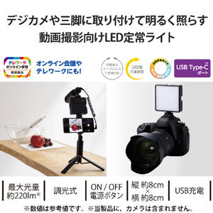 エレコム 動画撮影向けLEDライト 定常ライト ブラック DE-L05BK-イメージ2