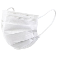 ＴＳＵＢＡＳＡ 医療用サージカルマスク(クラス1)不織布マスク T-1(50マイ) FCF612X-24-9593-00