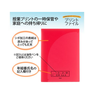 プラス 年組氏名スクール プリントファイル A4 レッド FCP3079-79753/FL-193SF-イメージ3