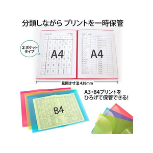 プラス 年組氏名スクール プリントファイル A4 レッド FCP3079-79753/FL-193SF-イメージ4