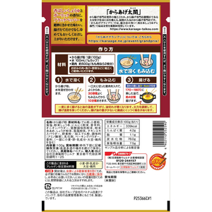 日清製粉ウェルナ から揚げ粉香ばししょうゆ味ガーリック風味 FCJ557K-イメージ2