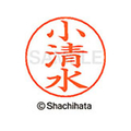 シヤチハタ ネームペン用ネーム シルバー 既製 小清 FC46857-X-GPS-1086