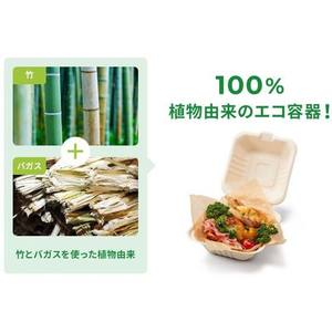 パックスタイル バガス容器 新BBランチ 200-220 50枚 FC348SH-00675730-イメージ5