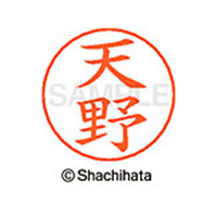シヤチハタ ネームペン用ネーム シルバー 既製 天野 FC45866-X-GPS-0095