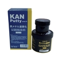 KANパテ/鉄メタル速硬化 0.5KGセット 501006 FC276VZ-5952973