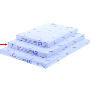 リコー フルカラーコピー用紙 タイプ6000(90W) B4 200枚 F808908-632341-イメージ1
