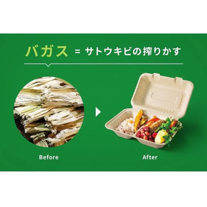 パックスタイル バガス容器 新ABランチ 220-150 50枚 FC349SH-00675731-イメージ8
